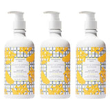 Beekman 1802 Hand Care Set 3 pcs - Goat Milk Hand & Body Wash x2 Hand & Body Lotion x1 - Sunshine Lemon