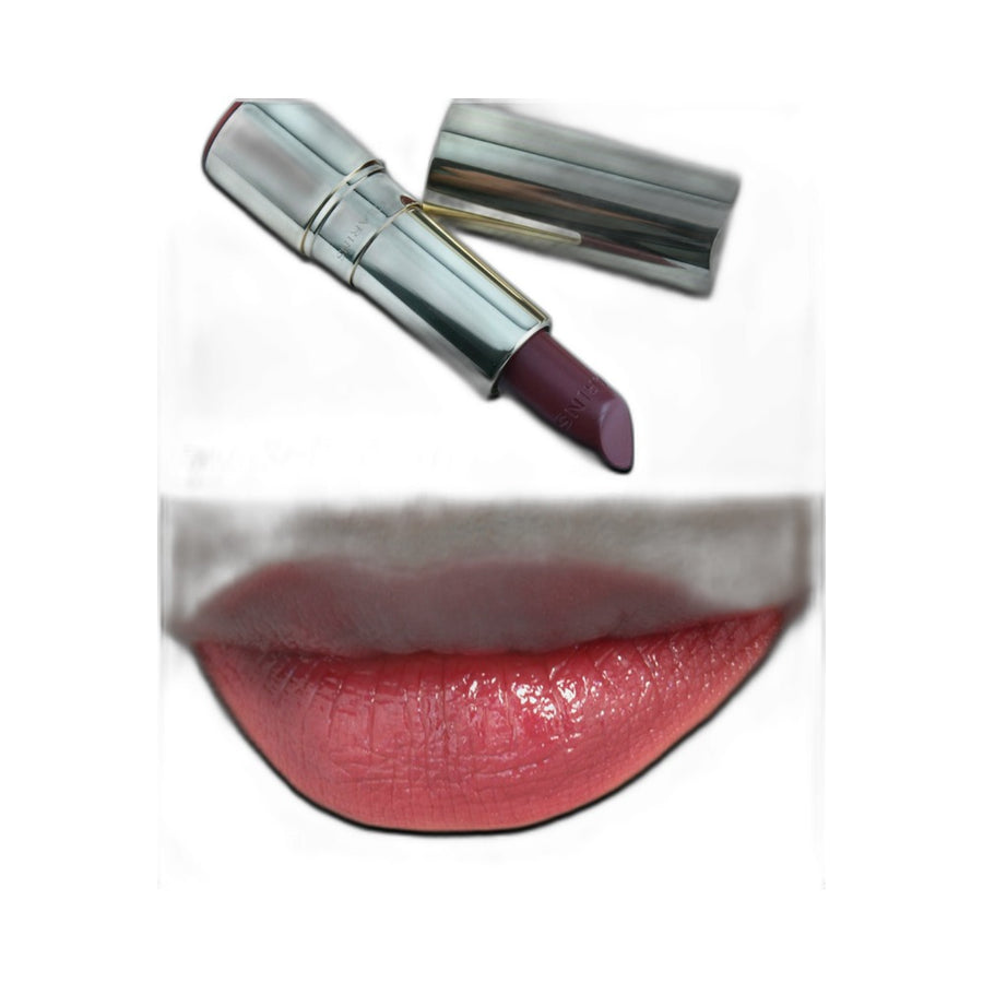 Clarins Joli Rouge Satin Lipstick 744 Soft Plum (0.1 oz)
