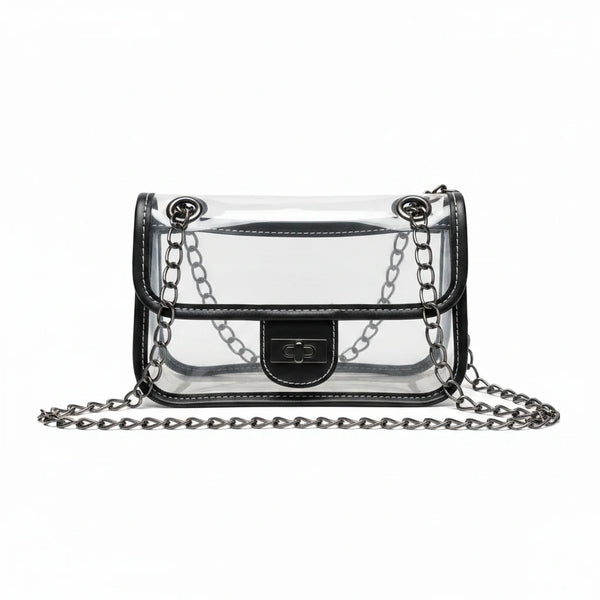 Roberta Amee Clearly You Need This Clear Bag