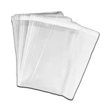 Roberta Amee Glearly You Need This Clear Bag (N/A)